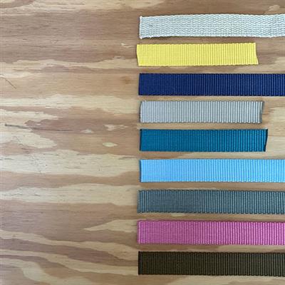Leash: Webbing Collection with Rose Hardware