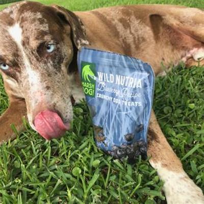 Treats: Marsh Dog Wild Nutria & Blueberry Crunchy Dog Treats