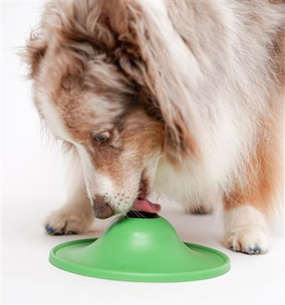 Toys: Stashios Soothing Saucer (4)