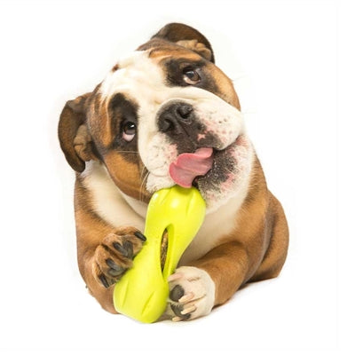 Toys: West Paw Qwizl - Puzzle & Treat Toy