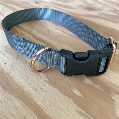 Leash: Webbing Collection with Rose Hardware