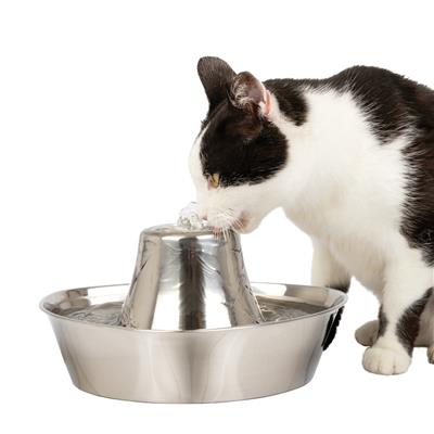 Water Fountain: Seaside Stainless Pet Fountain