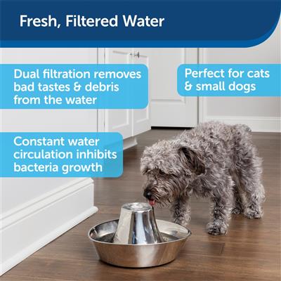 Water Fountain: Seaside Stainless Pet Fountain