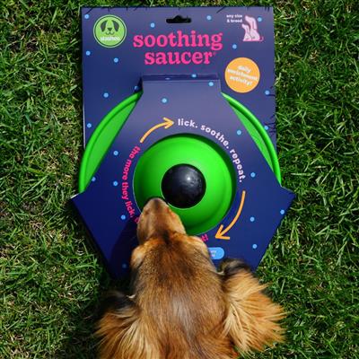 Toys: Stashios Soothing Saucer (4)