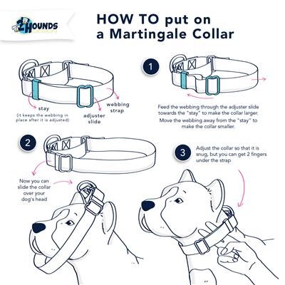 Leash: EarthStyle Paw Paisley Dog Collars & Leads