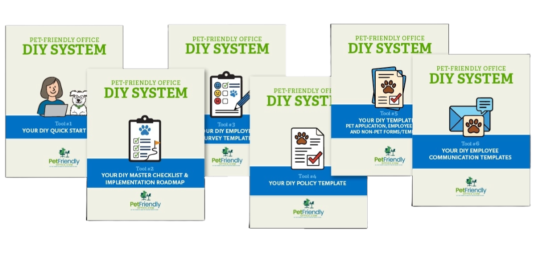 DIY System Image