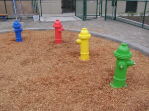 Google doggy fire hydrants