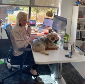 Dogs in the office is a big perk of working at NAVC