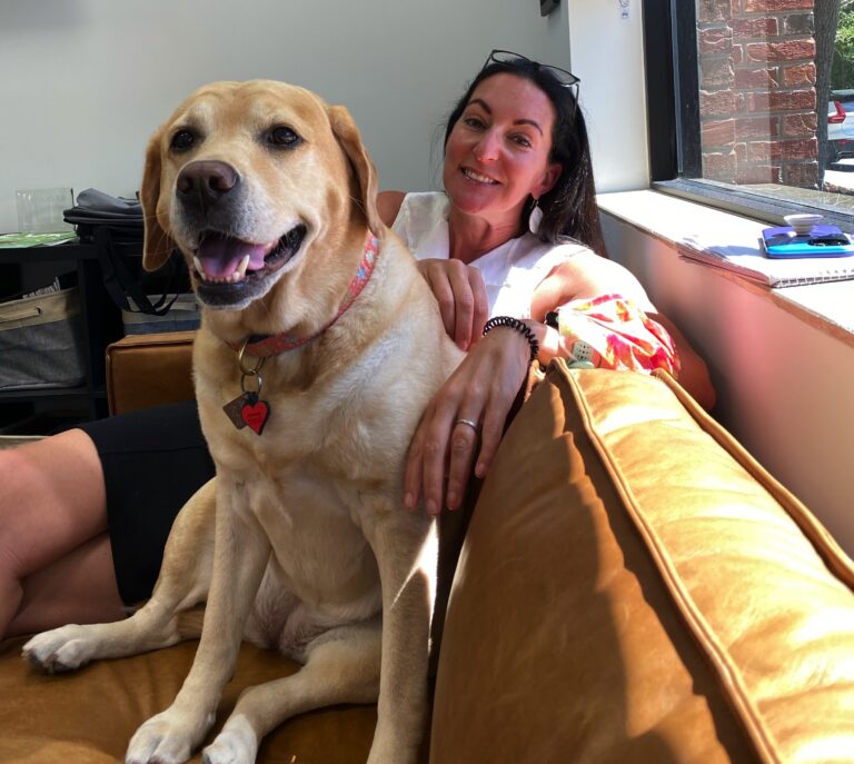 NAVC dog in the office with a staff member